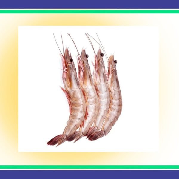 Jumbo-Prawns-Per-KG