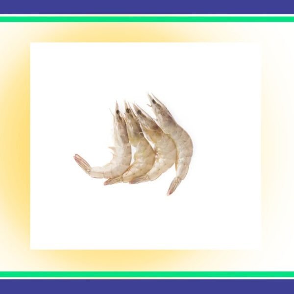 Medium-Prawns-Per-KG