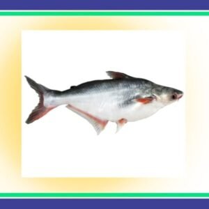 Pangasius Boneless 1Kg - TollintonPk