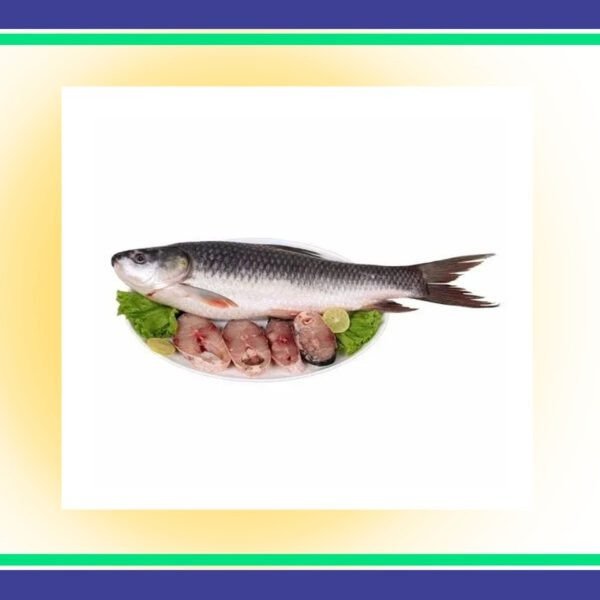 Rahu-Fish-2.5-KG-Plus