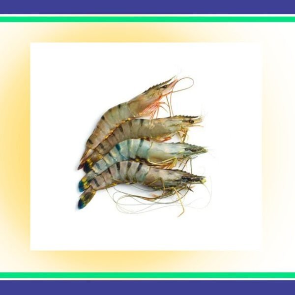 Tiger-Prawns-Per-KG