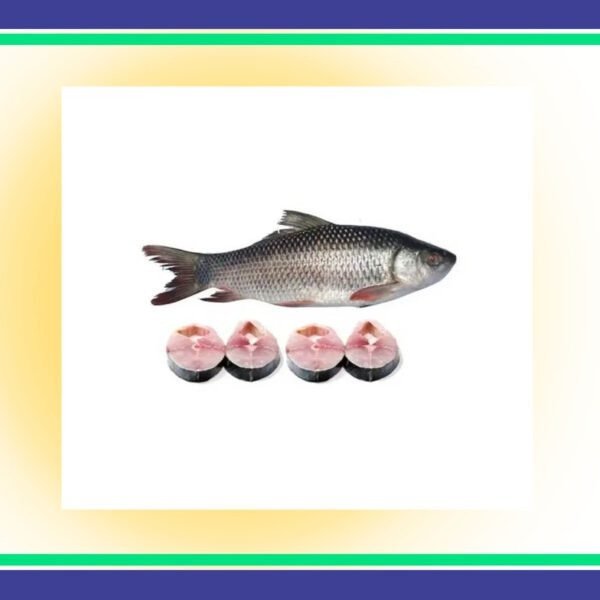rahu-fish-1.5kg